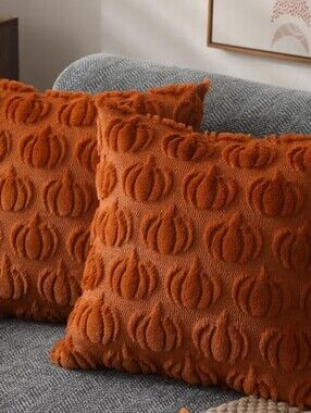Textured Pumpkin Throw Pillow Pair — Rust Orange